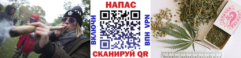 Виды наркотиков купить Жердевка Кокаин  гидра маркетплейс  Канабис  Меф  Метадон 