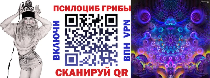 Псилоцибиновые грибы мицелий Жердевка